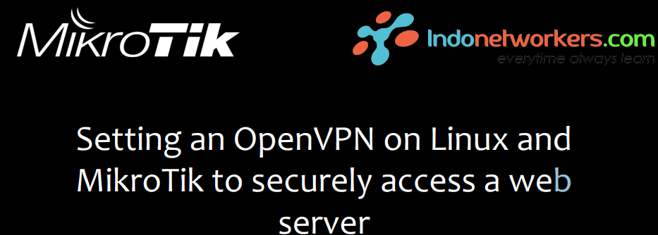 Cover Setting an OpenVPN on Linux and MikroTik to securely access a web