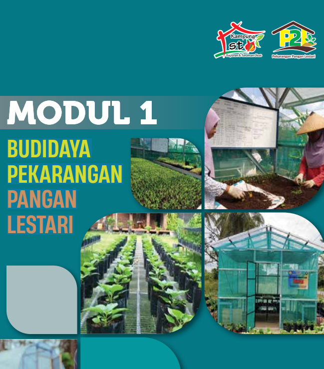 Cover Budidaya Pekarangan Pangan Lestari